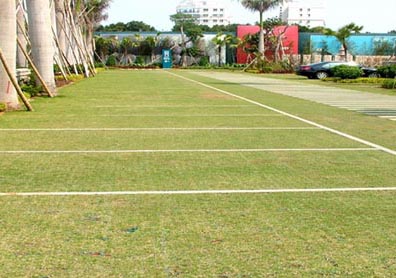 四川植草格工程